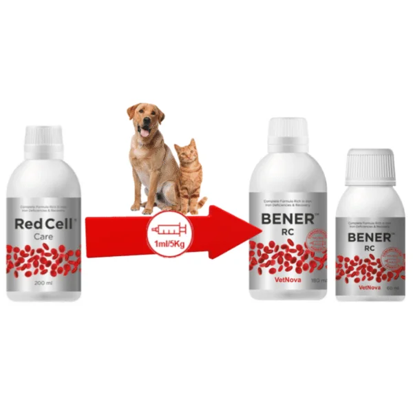 Bener RC anemia perros gatos