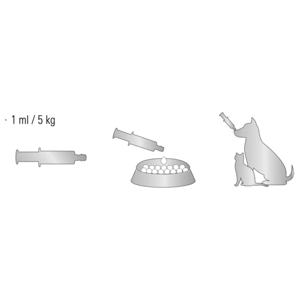 Bener RC anemia perros gatos