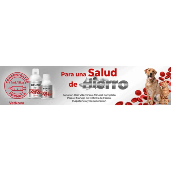 Bener RC anemia perros gatos