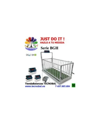 BGH BASCULA GANADERA 940x2150 mm. 600Kg 200g BAXTRAN.