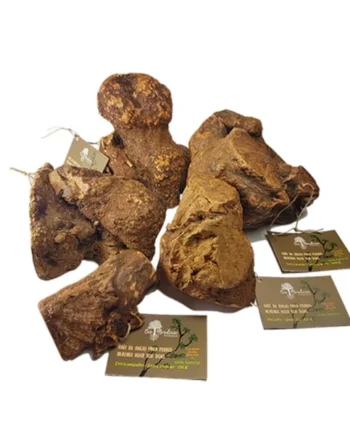 BiMordiscos Raíz de Brezo con Aceite de Oliva