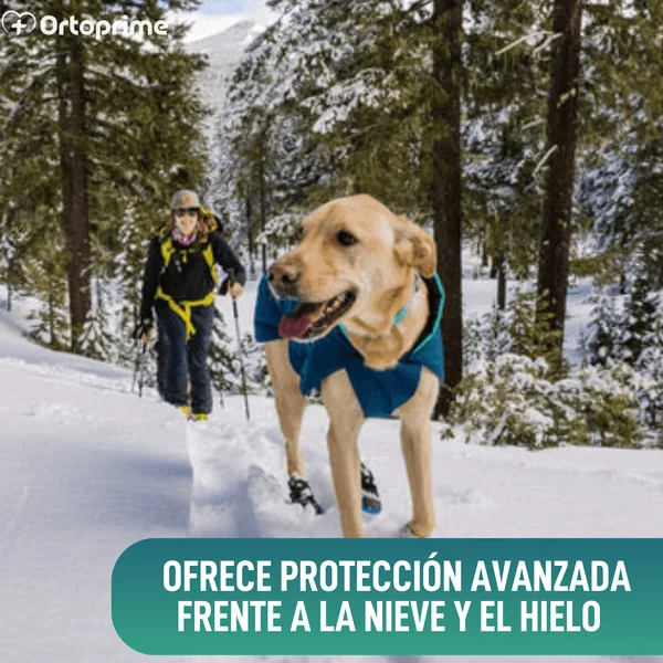 Bota Alta de Invierno para Perros | Suela Antideslizante