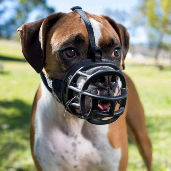 Bozal Plastico Negro Para Perro Ajustable