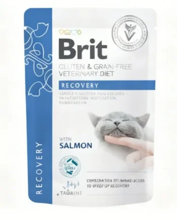 Brit Veterinary Diet Recovery Salmón Gatos | Comida húmeda convalecencia