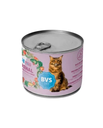 BVS Vet Shop Diet Renal Ternera y Pollo