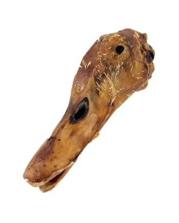 Cabeza de pato