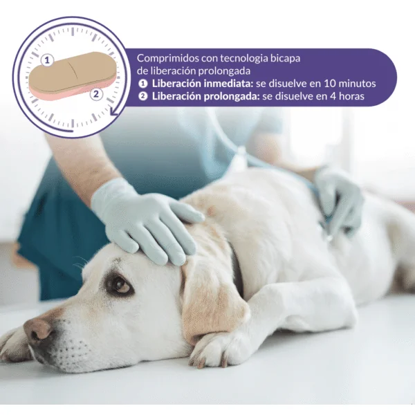 Calmatonine XR Bicapa tranquilizante perros gatos comprimidos