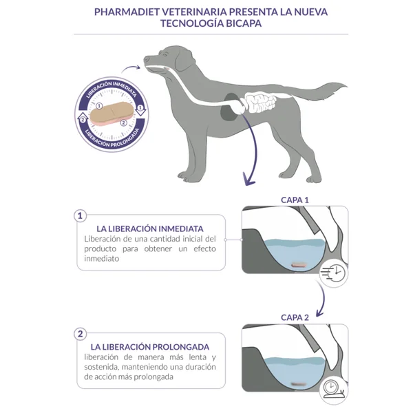Calmatonine XR Bicapa tranquilizante perros gatos comprimidos