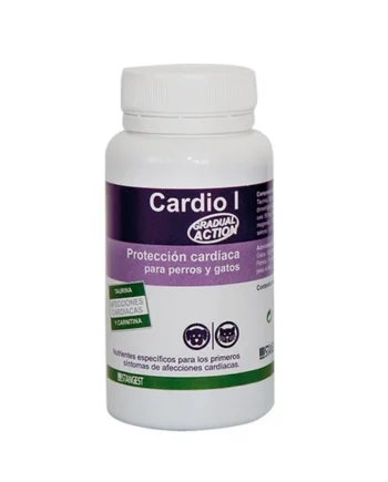 Cardio I