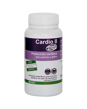 Cardio II