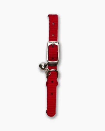 Celebra nuevos recuerdos con un Catit Collar Hebilla Plata Elástico Rojo - el regalo perfecto para cumpleaños y Navidad.