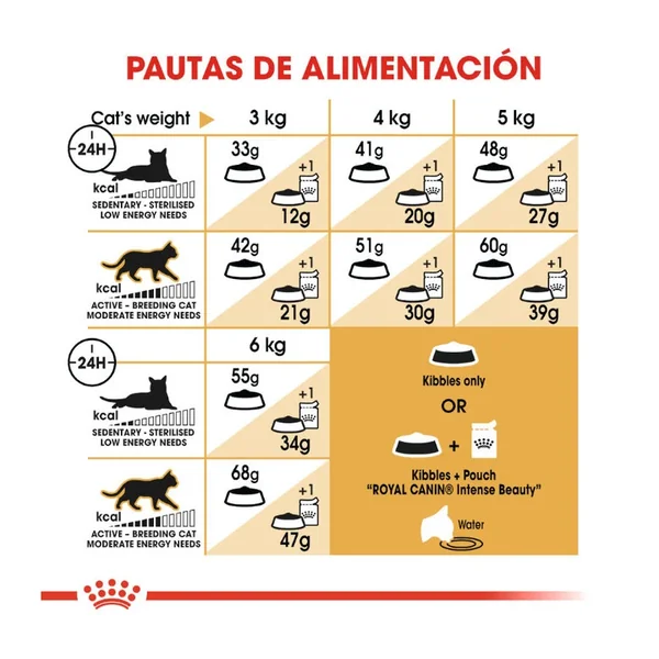Celebra nuevos recuerdos con un Royal Canin Adult Siamese Pienso Para Gatos - el regalo perfecto para cumpleaños y Navidad.
