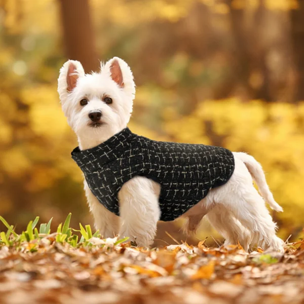 Chaleco para perros