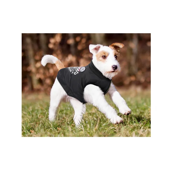 Chaleco para perros