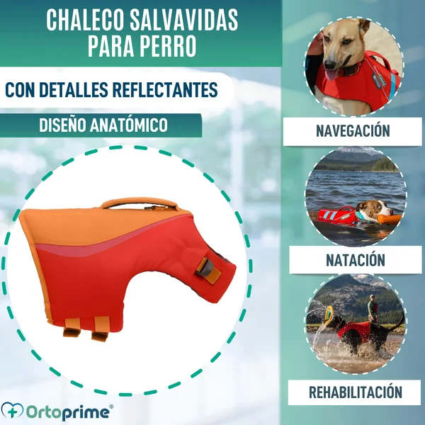 Chaleco Salvavidas Perro Múltiple Uso | Seguridad Acuática