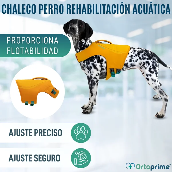 Chaleco Salvavidas Perro Múltiple Uso | Seguridad Acuática