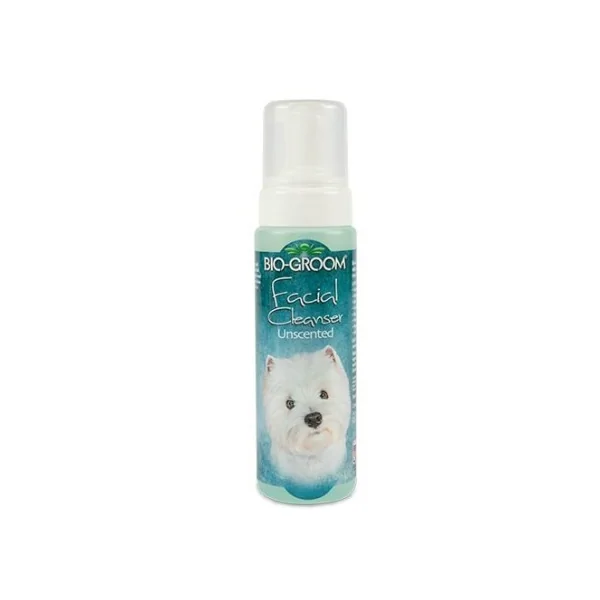 Champú en seco Facial Cleanser en espuma