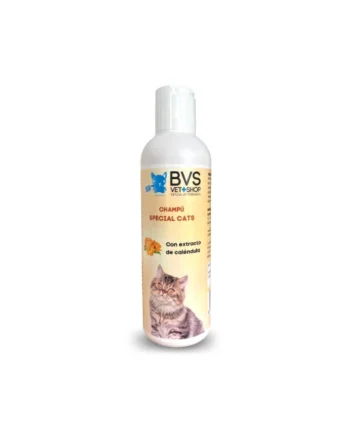 Champú Special Cats BVS