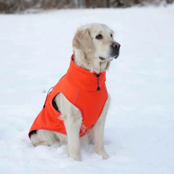 Chaqueta Sport Softshell Naranja