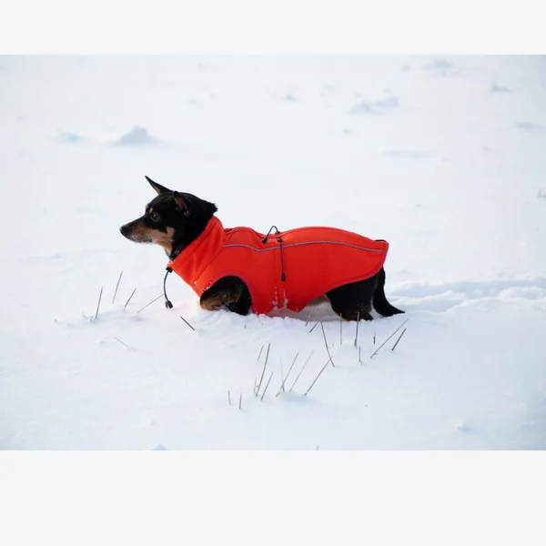 Chaqueta Sport Softshell Naranja