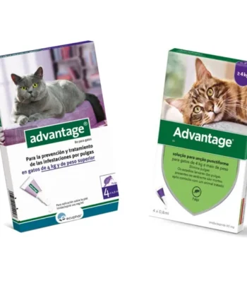 Chic y moderno Advantage Pipetas Para Gatos +4 Kg (80ml) para - exclusivamente en Productos Para Gatos.