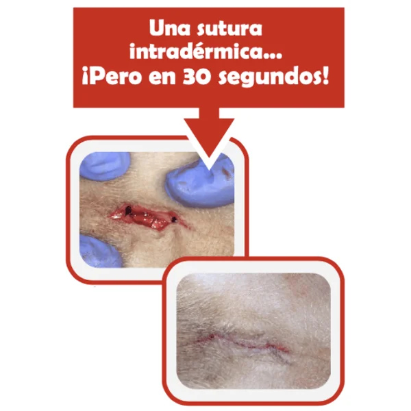 Cicastick pegamento adhesivo cicatrizante perros gatos 2 g