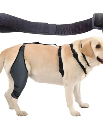 Cinta Canina de Sujeción Lumbar para Inmobilizador de Rodilla