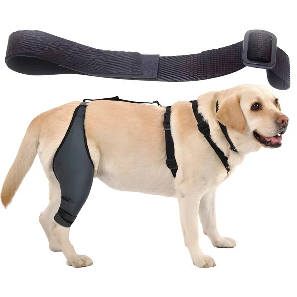 Cinta Canina de Sujeción Lumbar para Inmobilizador de Rodilla