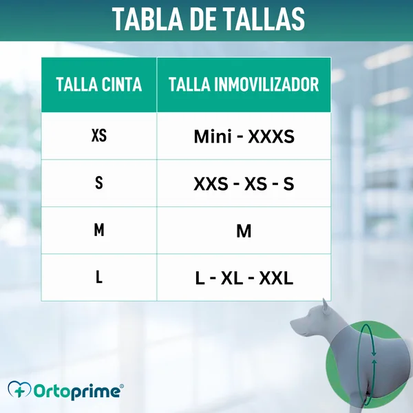 Cinta Canina de Sujeción Lumbar para Inmobilizador de Rodilla