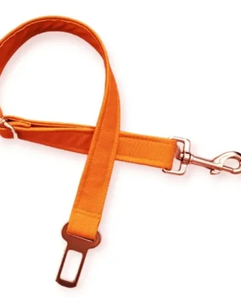 Cinturón de Seguridad Modelo Naranja