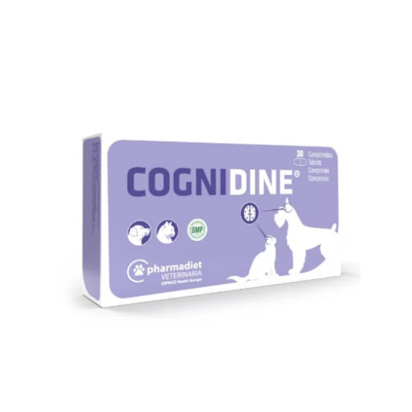 Cognidine Comprimidos Perros y Gatos