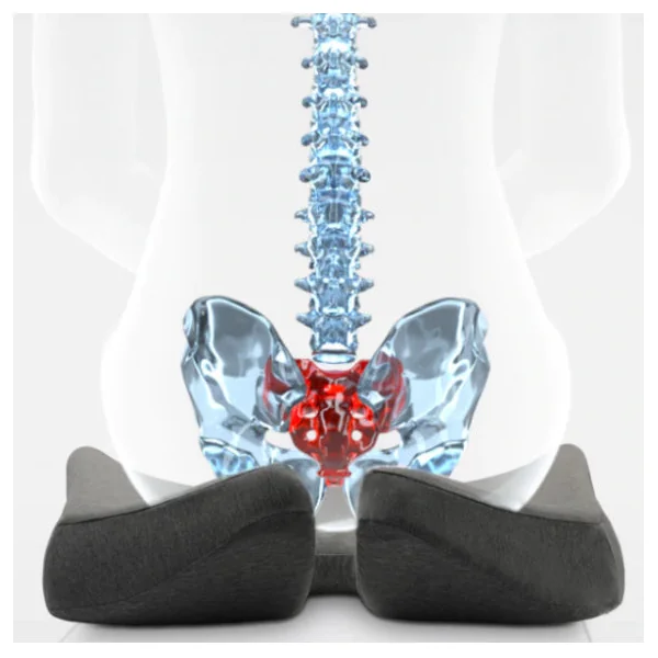 Cojín Ortopédico Antideslizante para Coxis | Ergonomic