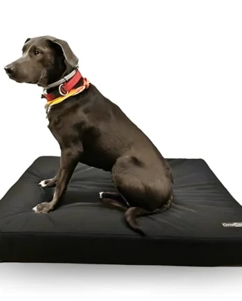 Colchón para Perros Viscoelástico con Funda | 4 Tallas