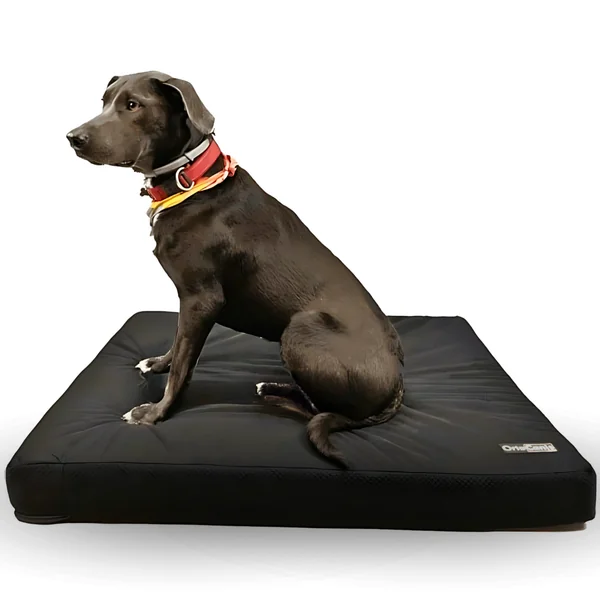 Colchón para Perros Viscoelástico con Funda | 4 Tallas