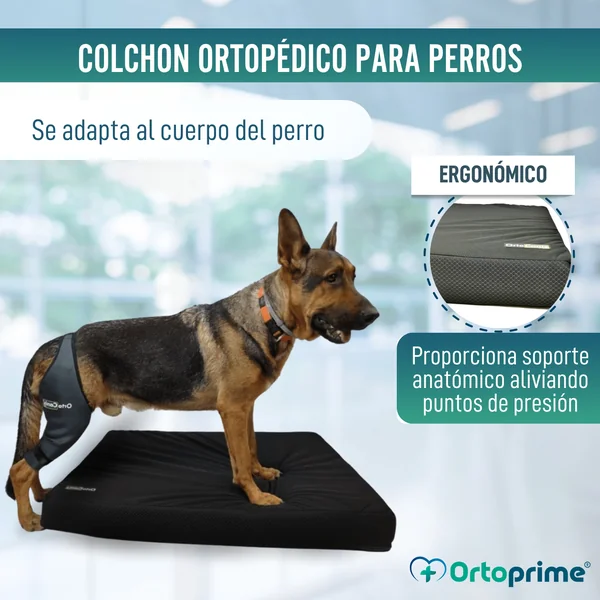 Colchón para Perros Viscoelástico con Funda | 4 Tallas