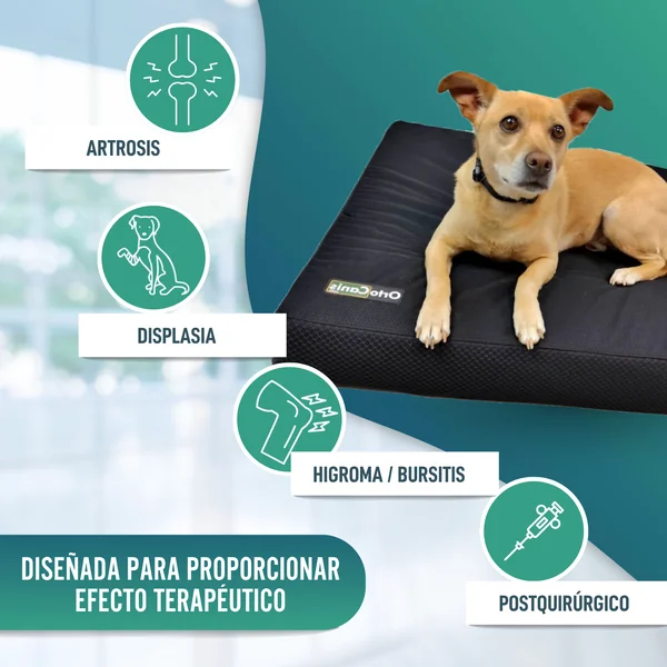 Colchón para Perros Viscoelástico con Funda | 4 Tallas