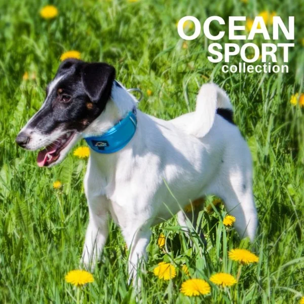 Collar acolchado Ocean Sport Turquesa