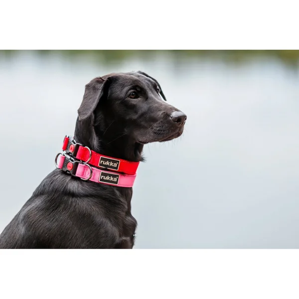 Collar Bliss Negro Rukka