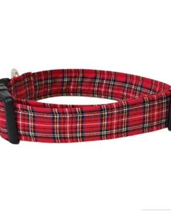 Collar Click Perro Escocés Rojo