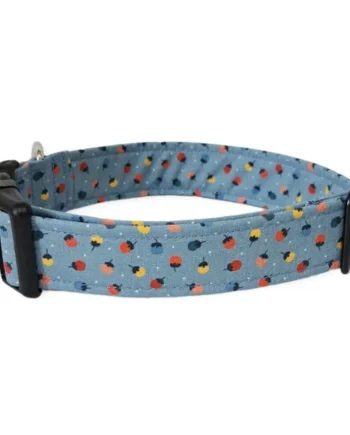 Collar Click Perro Fresas Azul