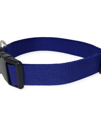 Collar Click Perro Todoterreno Azul