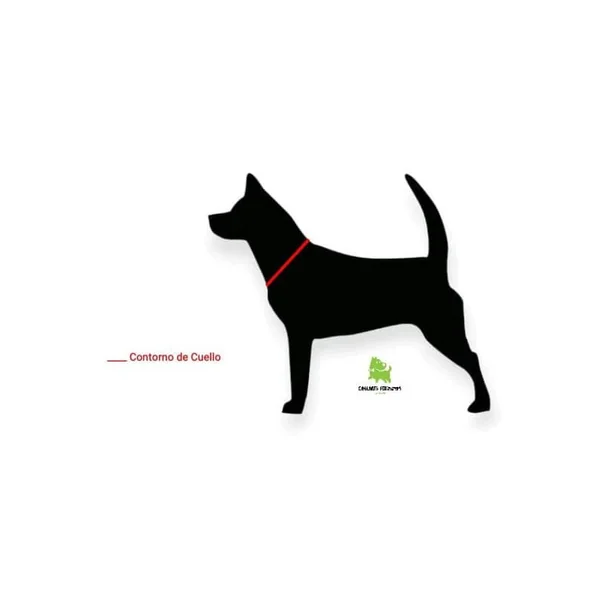 Collar Click Perro Todoterreno Azul