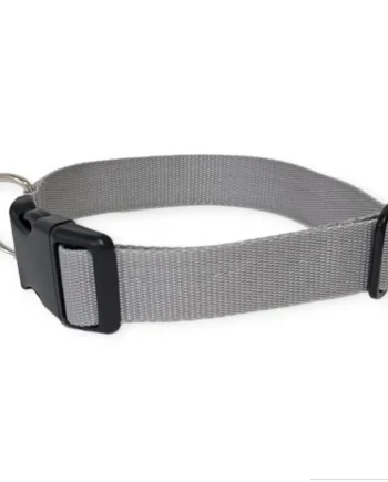 Collar Click Perro Todoterreno Gris