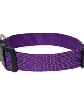 Collar Click Perro Todoterreno Morado