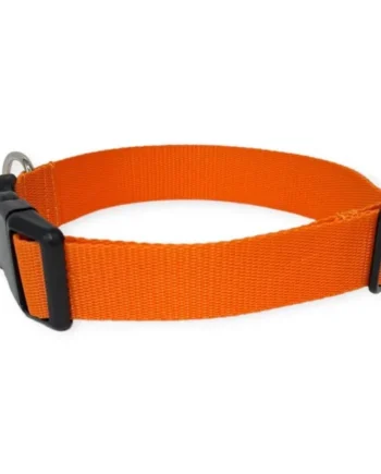 Collar Click Perro Todoterreno Naranja