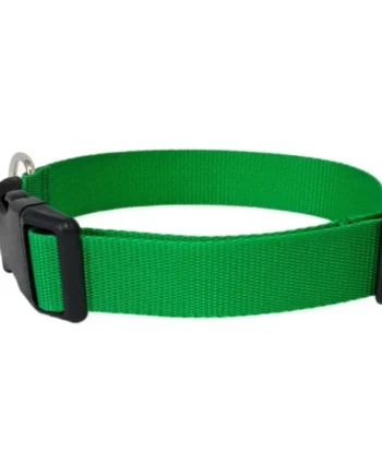 Collar Click Perro Todoterreno Verde