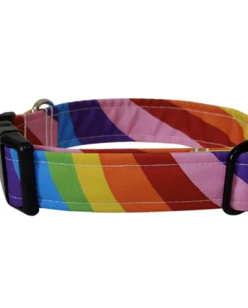 Collar de Click Orgullo para perros