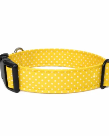 Collar de click Topitos Amarillo