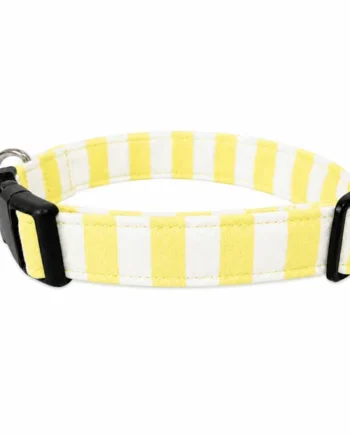 Collar de click Verano Amarillo