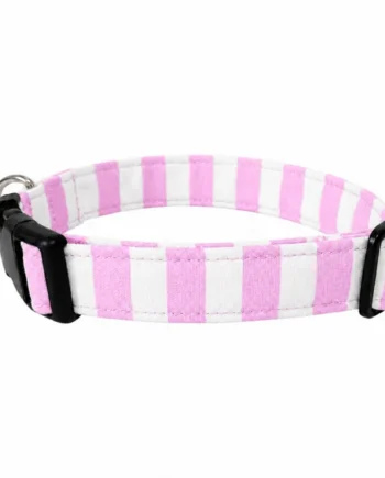 Collar de click Verano Rosa